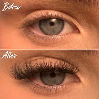 HYBRIDS Super Pre-Glued Lash Starter Kit